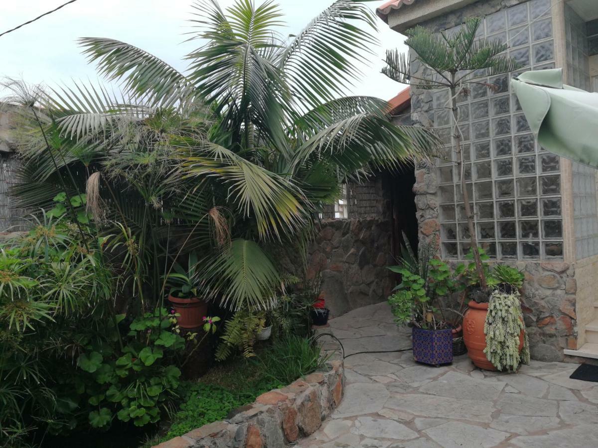 Casa El Drago Las Palmas de Gran Canaria