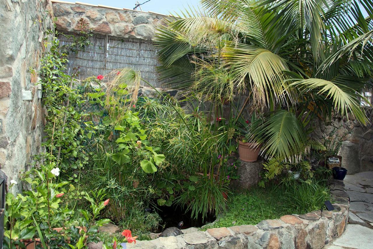 Casa El Drago Habitación en casa particular Las Palmas de Gran Canaria
