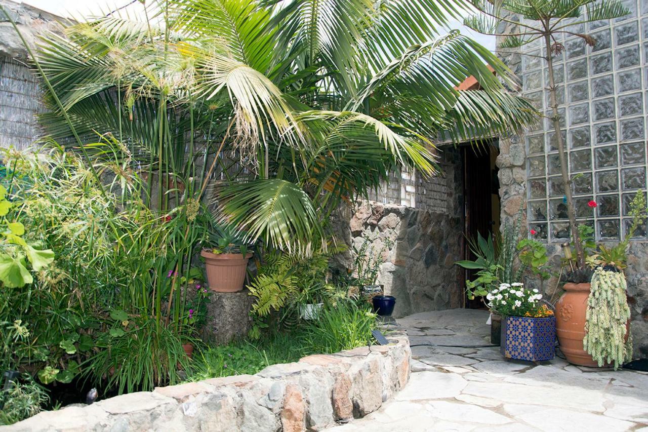 Privat overnatting Casa El Drago-tafira Baja
