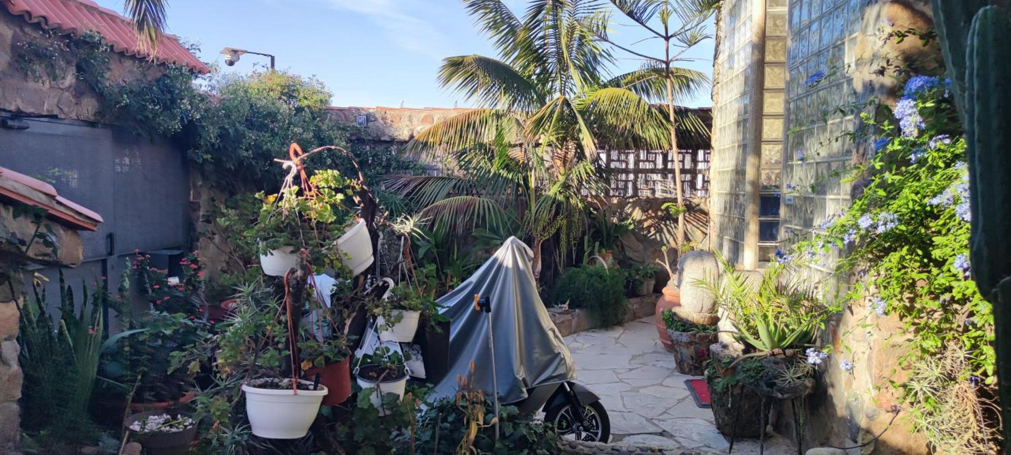 Casa El Drago-tafira Baja Séjour chez l'habitant *