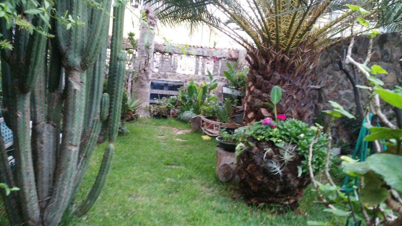Casa El Drago-tafira Baja Séjour chez l'habitant Las Palmas de Gran Canaria