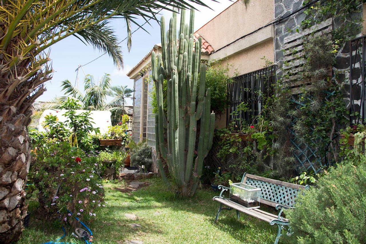 Séjour chez l'habitant Casa El Drago-tafira Baja *